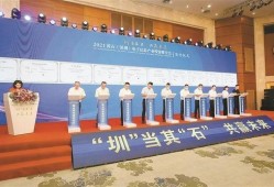 黄石电子厂爆料最新消息,揭秘生产一线的变革与挑战